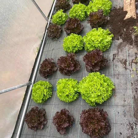 ゲストハウス Casa A Pichona 4*