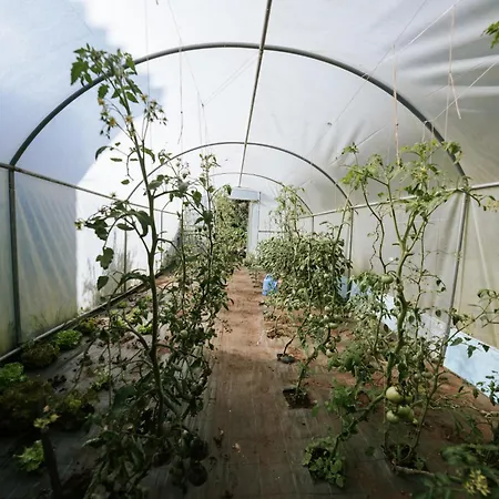 Casa A Pichona 4* ドゥンブリーア