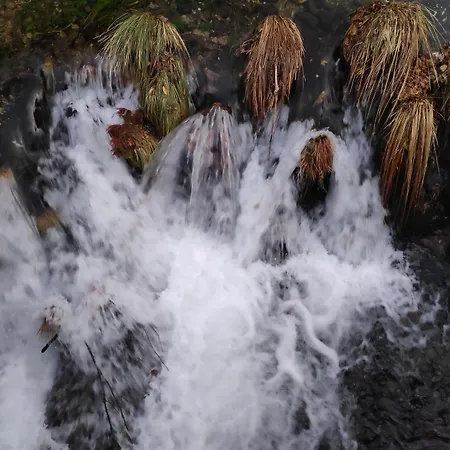 ゲストハウス Casa A Pichona