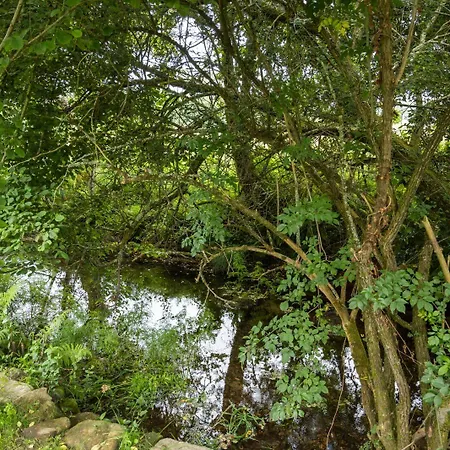 ゲストハウス Casa A Pichona