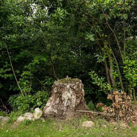 ゲストハウス Casa A Pichona 4*