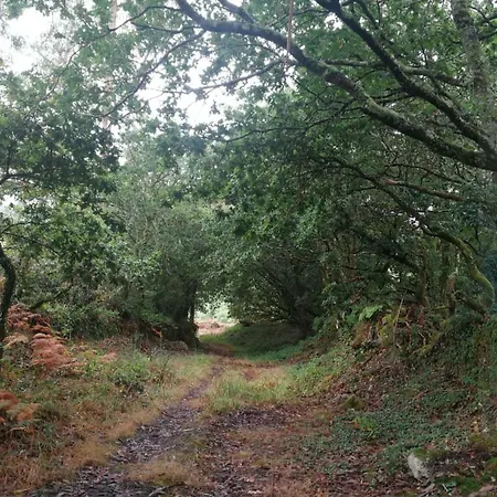 Casa A Pichona ゲストハウス