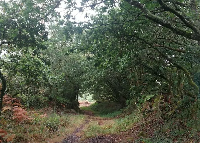 Casa A Pichona Gasthof